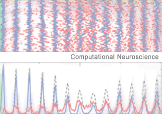 Computational Neuroscience